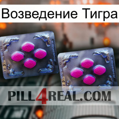 Возведение Тигра 01